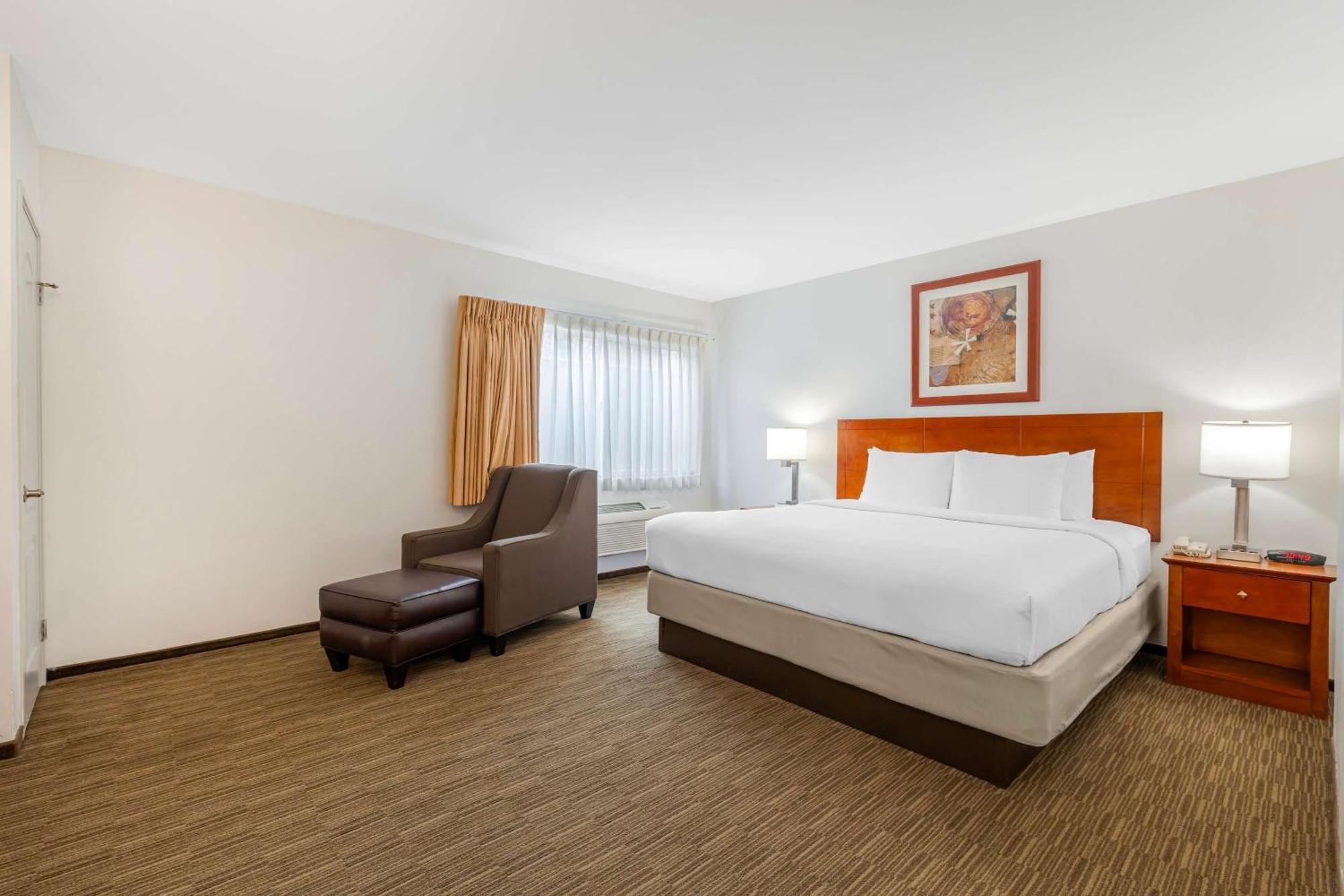 Comfort Inn Cockatoo Near Lax Airport Hawthorne Buitenkant foto